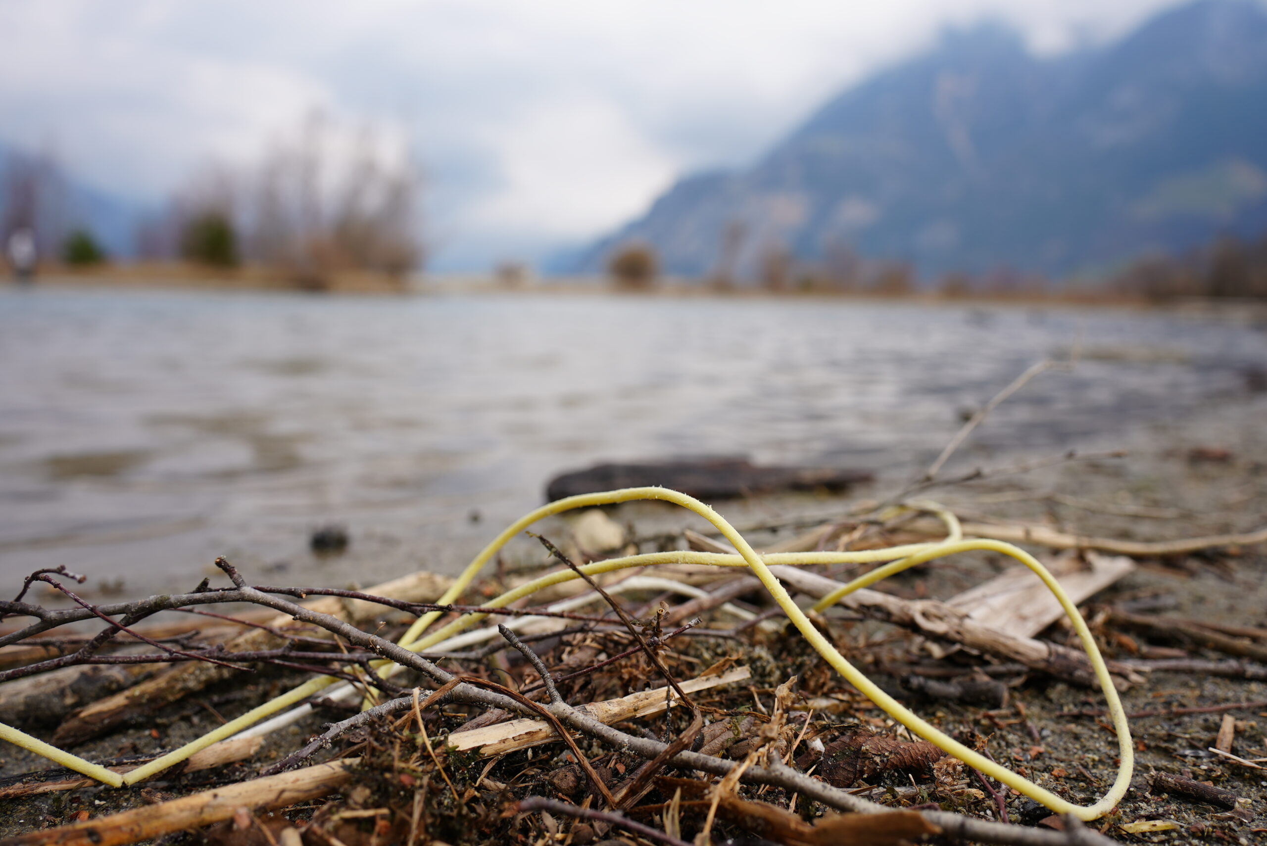 Zünd­schläu­che im Ufer­be­reich festgestellt